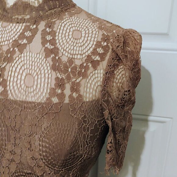 L'atiste Dress Victorian Lace Romantic Stretchy Sheer Panels Brown Mauve Tan S - Picture 5 of 14